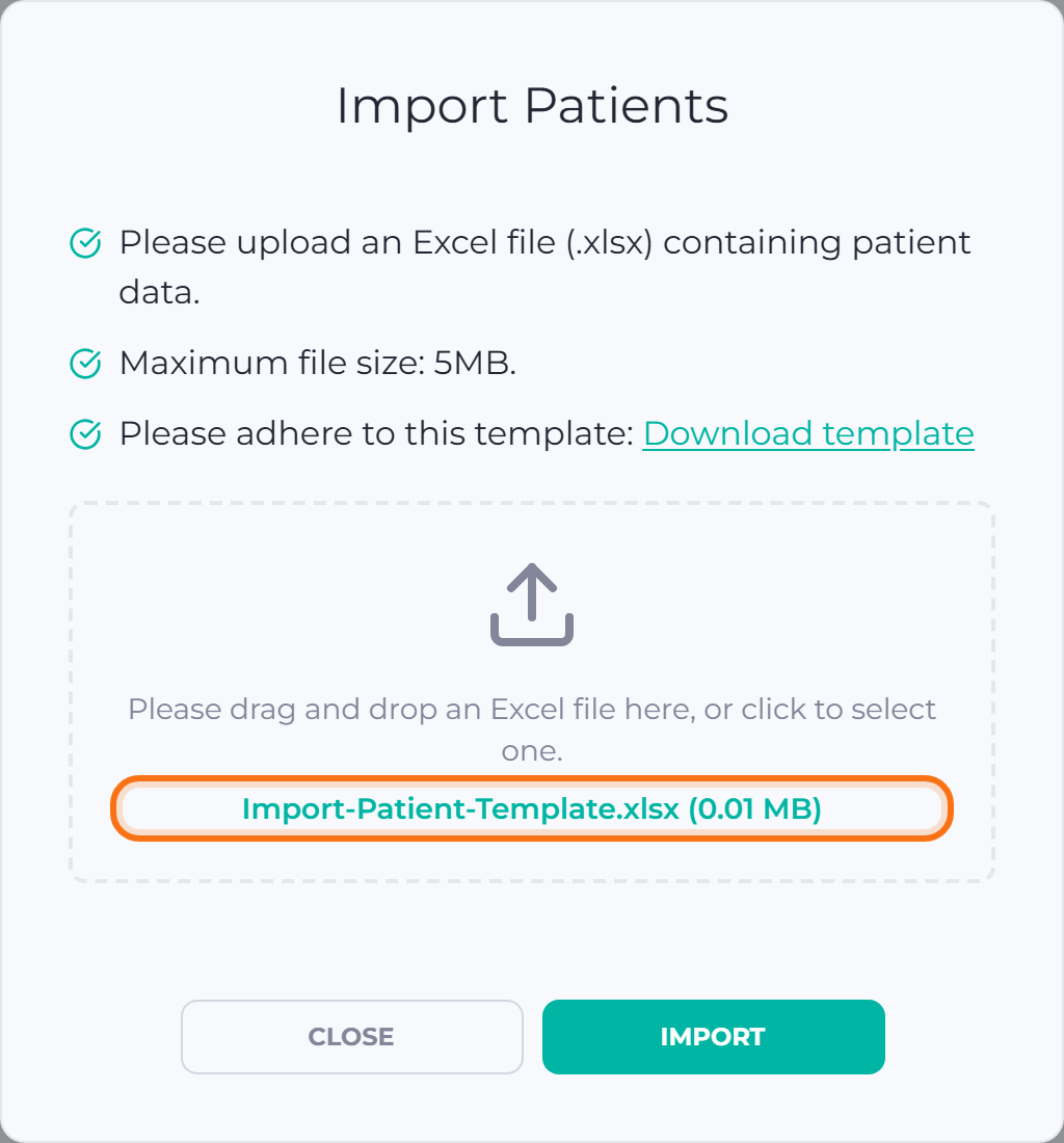 Import Patients window with a file selected, showing its name and size