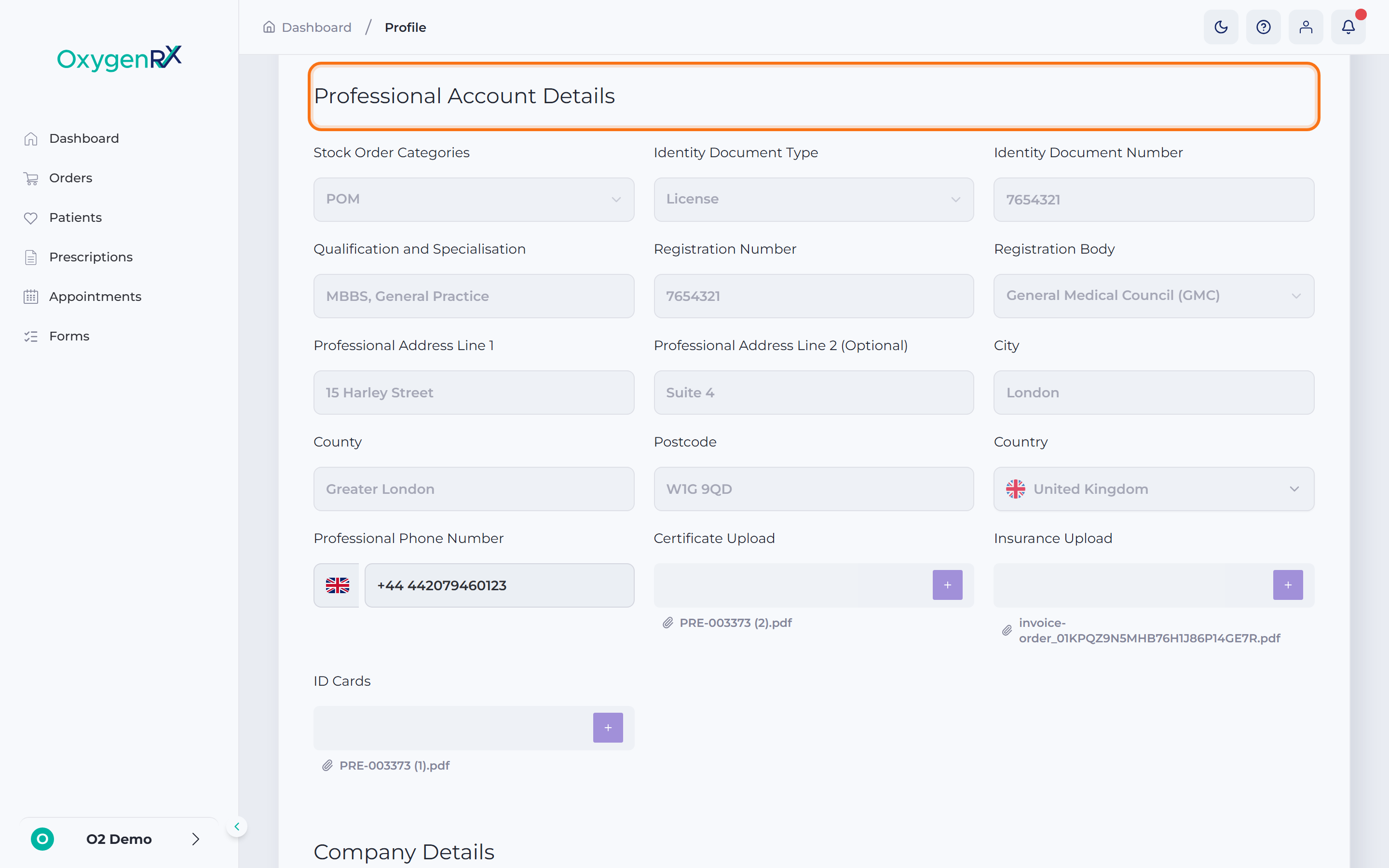 the Professional Account Details section with its boxes visible
